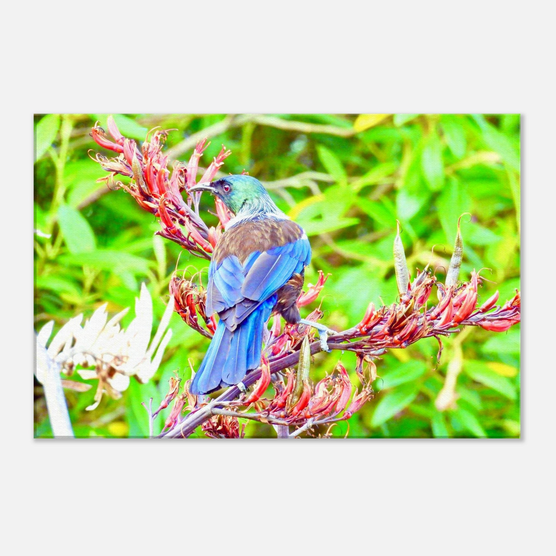 c7af7dbd-682c-4830-8e53-20c4884c11f5