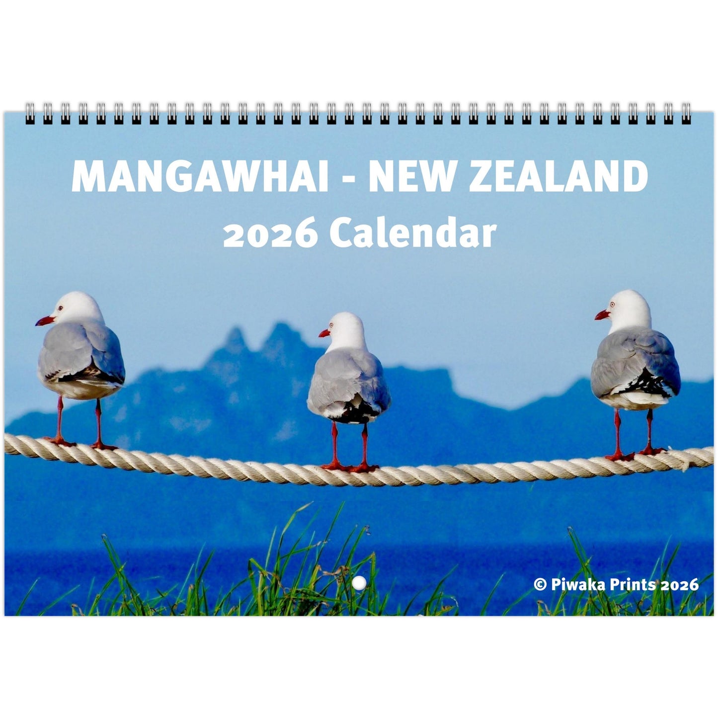 piwaka prints, new zealand, nz, mangawhai, mangawhai heads, seagulls, northland, east coast, landscapes, seascapes, 2026, wall calendar, surf club, beach life, christmas gift, Mangawhai New Zealand 2026 wall calendar, coastal photography, surf beach scenes, northland landscapes, piwaka prints, office calendar, nz calendar 2026