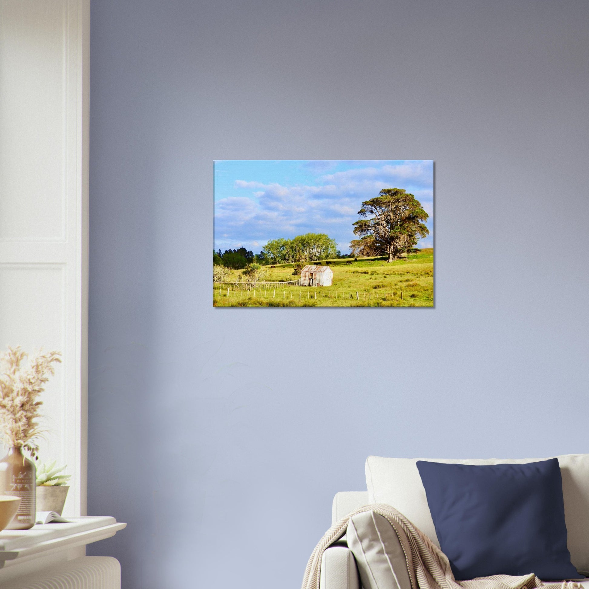 rural mangawhai nz, new zealand, nz, rural nz, weathered shed nz, oak trees nz, macrocarpa nz, macrocarpa trees nz, cows nz, rural landscape nz, urlich drive nz, fields nz, pastures nz, tornado nz, storm nz, piwaka prints nz, piwaka prints,
