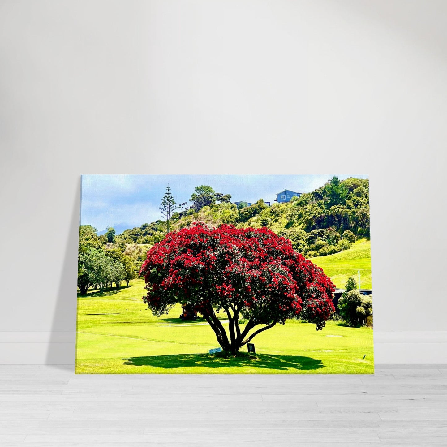 d2df216b-605e-429f-ba3a-1a9434a61de9