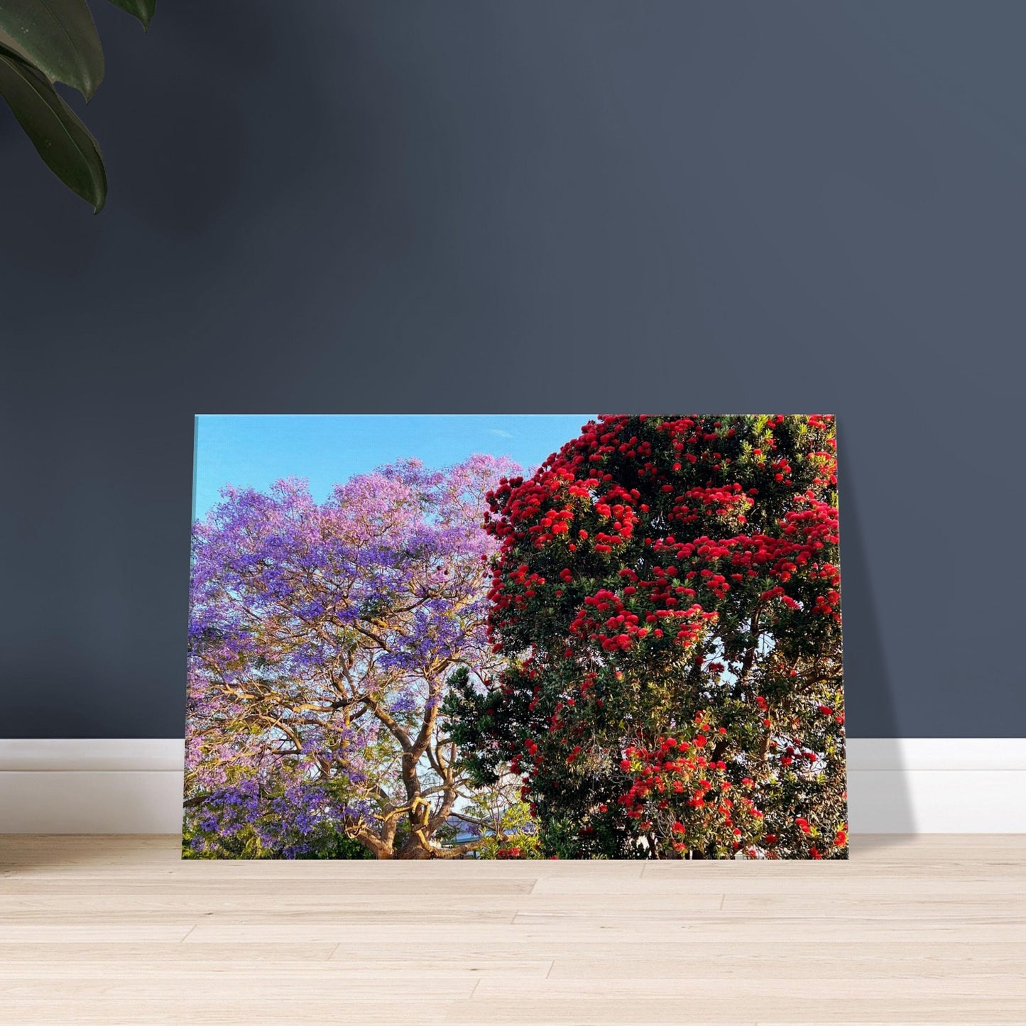 d407c618-a1d4-4d05-a6e6-d561b7df5b40