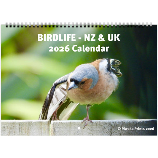 birdlife, nz, uk, new zealand, united kingdom, wall calendar, wall art, canada goose, chaffinch, kingfisher, tui, kereru,wood pigeon, piwaka prints,