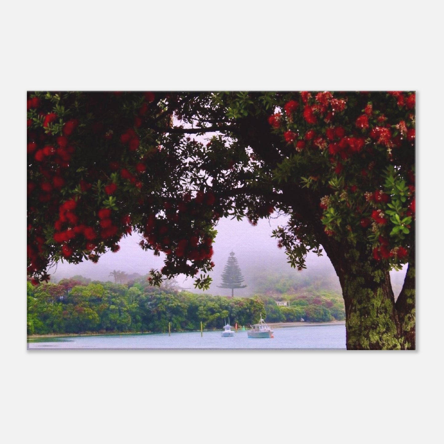Mangawhai heads estuary, estuary, boats, Northland NZ, New Zealand, pohutukawa tree, Norfolk pine, boats, misty day, nz, east coast, Northland coast, piwaka prints,