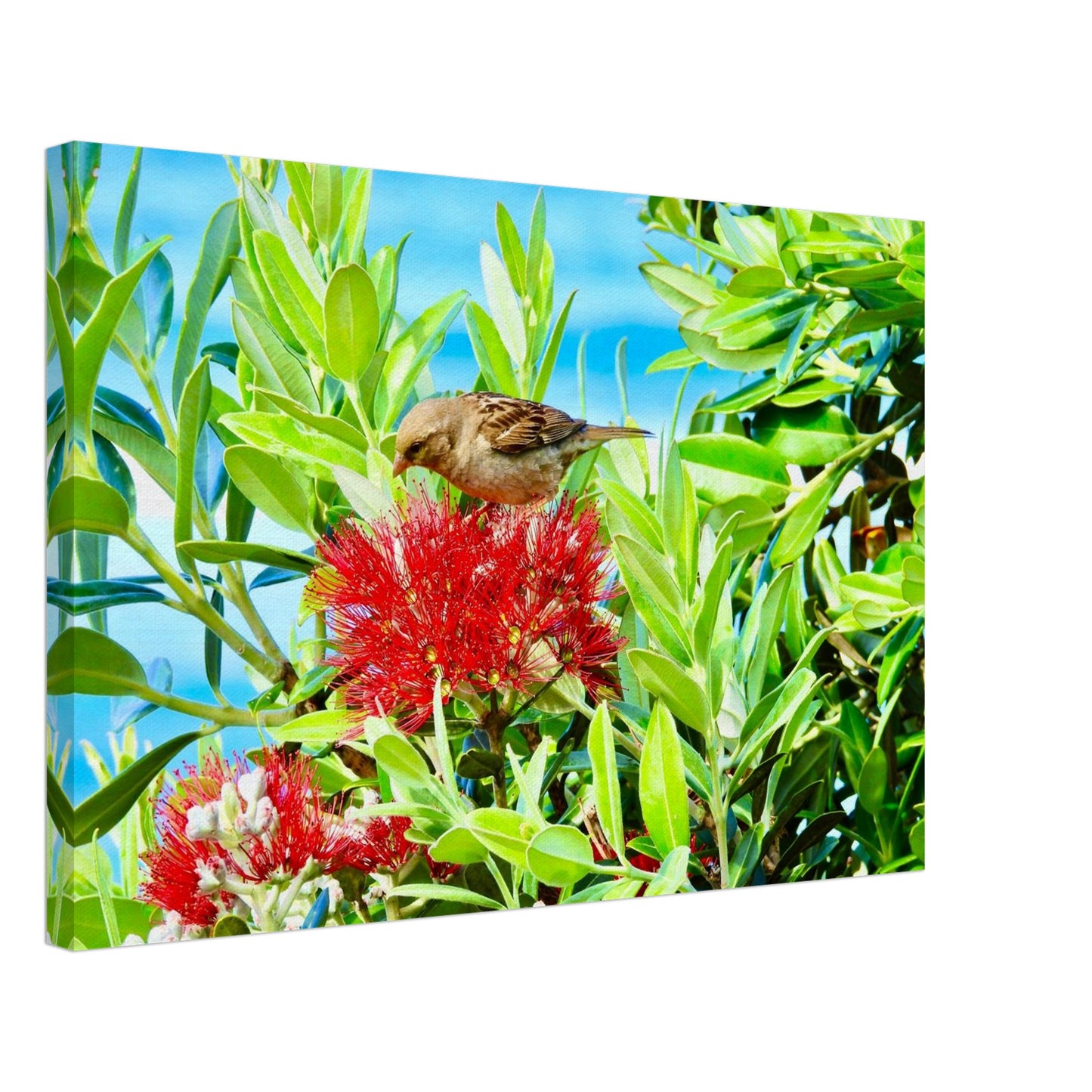 e12ca4f9-41f1-4239-8b48-fc65cfff4081