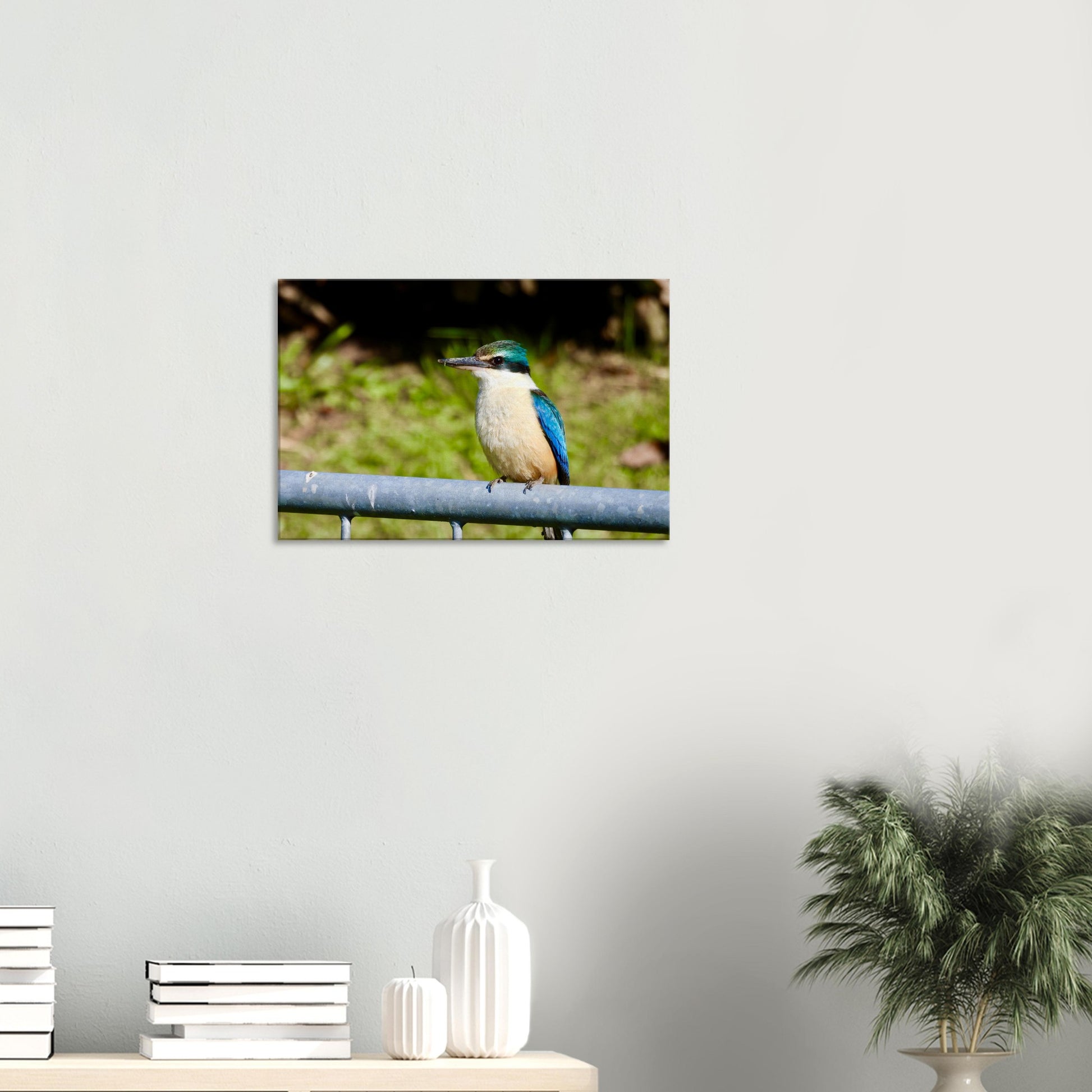 Kingfisher, gate, kingfisher on gate, wall art, canvas, bright, colourful, blue, green, piwaka prints, nz, new zealand, bird, 