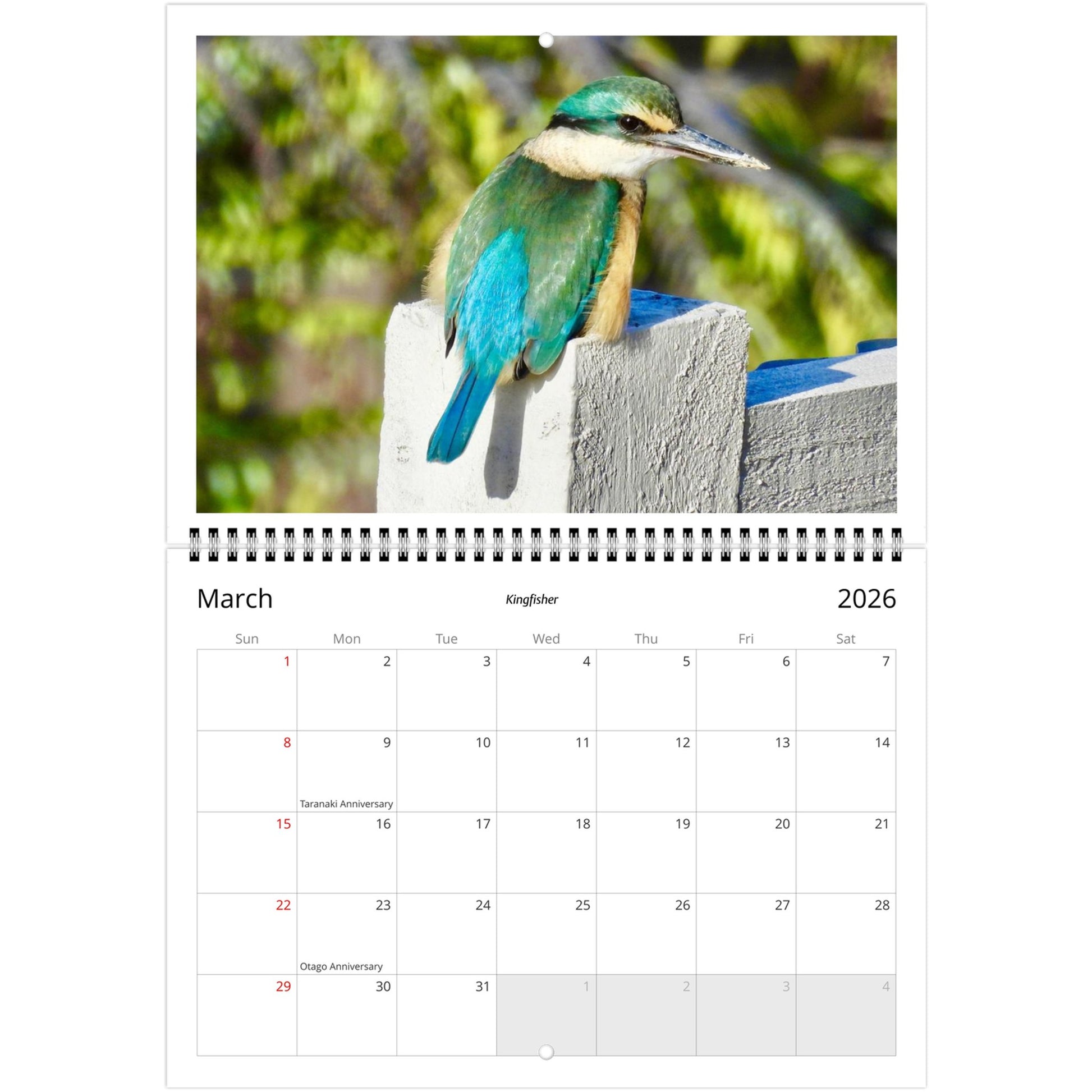 efb182b7-5a64-4524-82c3-e5b8bbc0bb50