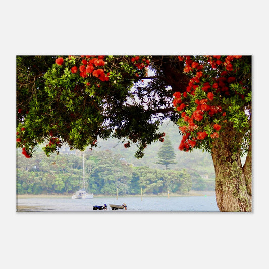 estuary, boat, norfolk pine, pohutukawa, fishing, red flowers, nz, new zealand, piwaka prints, mangawhai heads, mangawhai, northland