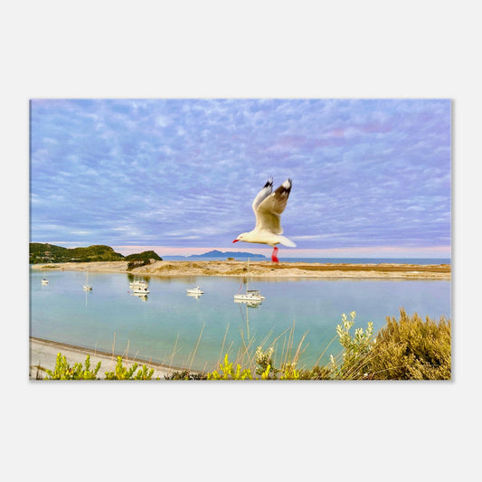 mangawhai heads nz, mangawhai nz, piwaka prints nz, piwaka prints, mangawhai heads estuary nz, estuary, mangawhai heads estuary, seagull nz, seagulls nz, boats nz, yachts nz, reflections nz, new zealand